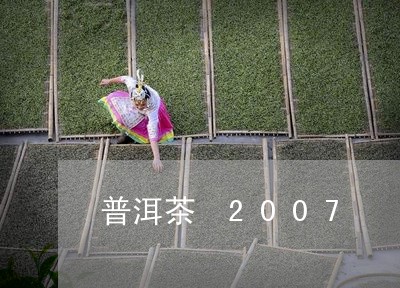 普洱茶 2007/2023031776261